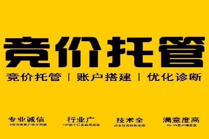 低成本高回报：百度包年竞价实战技巧揭秘
